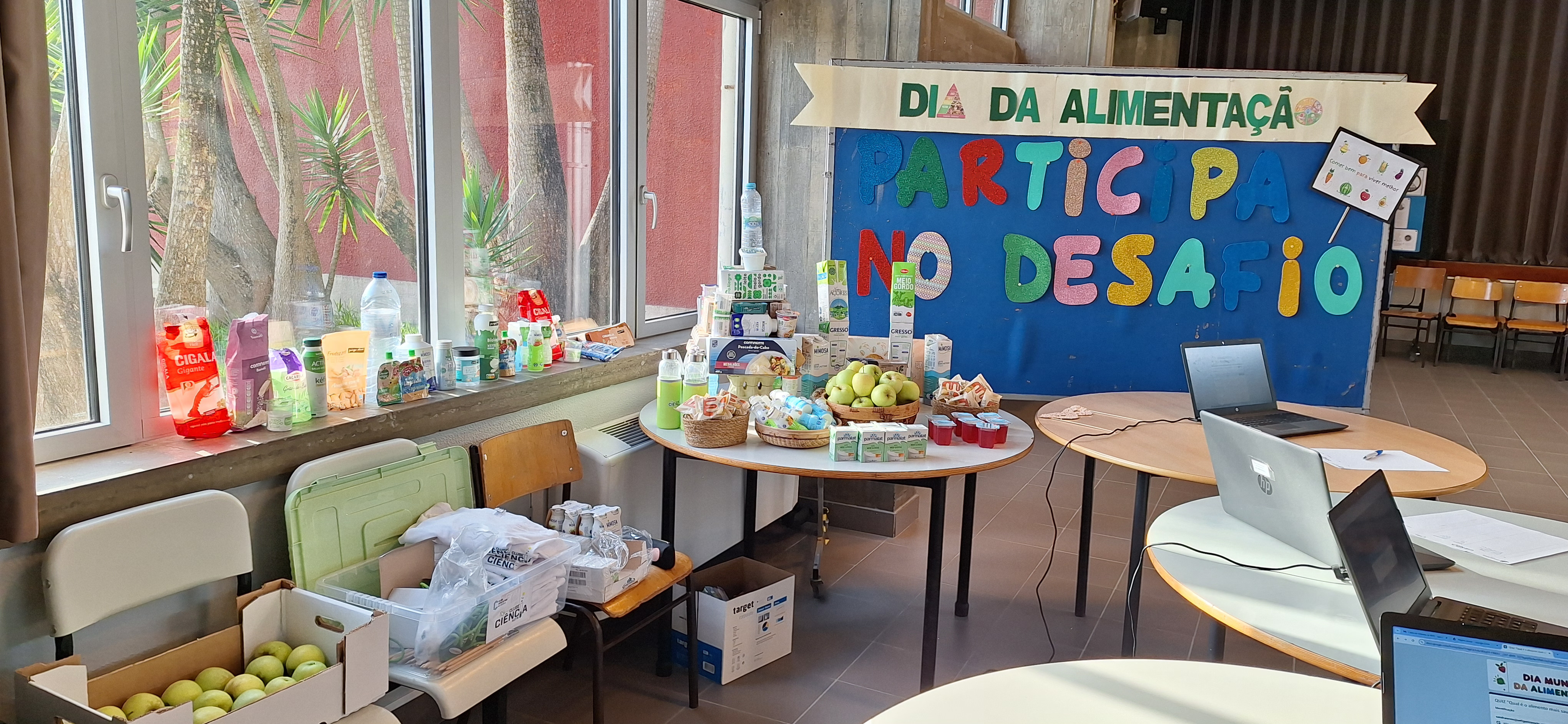 D_alimentacao1