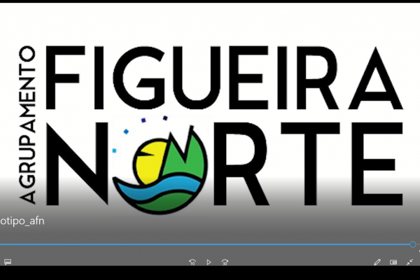 Logotipo do Agrupamento de Escolas Figueira Norte